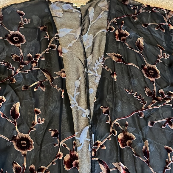 Sheer Jacket-with velvet floral print - Picture 5 of 8
